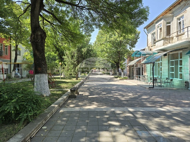 Намаление на криминалните престъпления отчита полицията в Мизия 