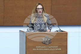 Народно събрание - заседание