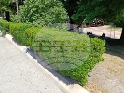 Снимка: Община Шумен