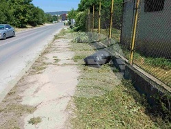 Снимка: Община Шумен