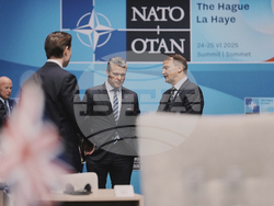Netherlands NATO Summit