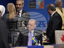 Netherlands NATO Summit