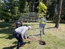 Самоков - детска площадка - първа копка