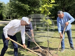 Самоков - детска площадка - първа копка