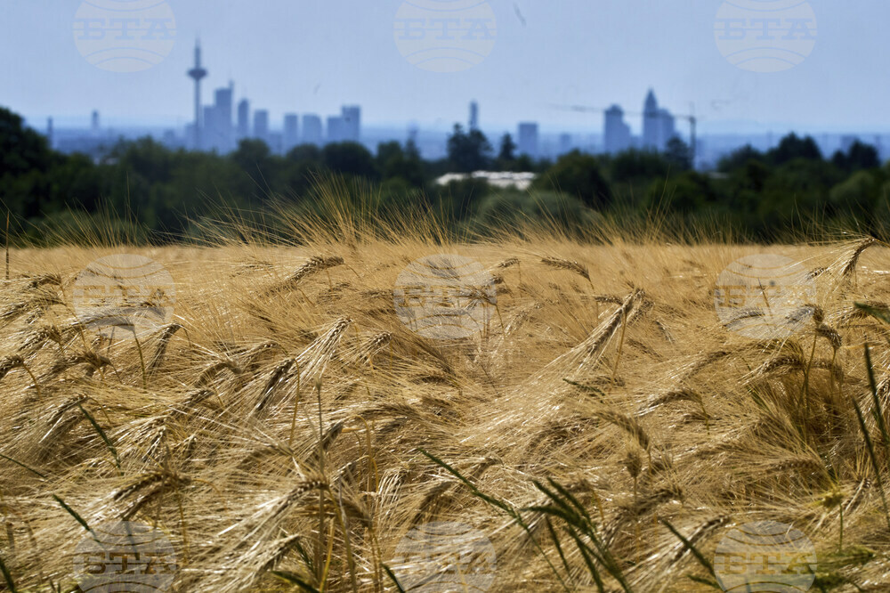 Germany Weather
