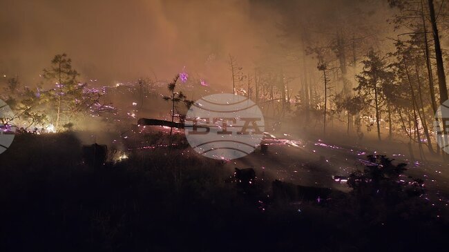 Defence Ministry Assists in Containing Major Mountain Wildfire near Strumyani