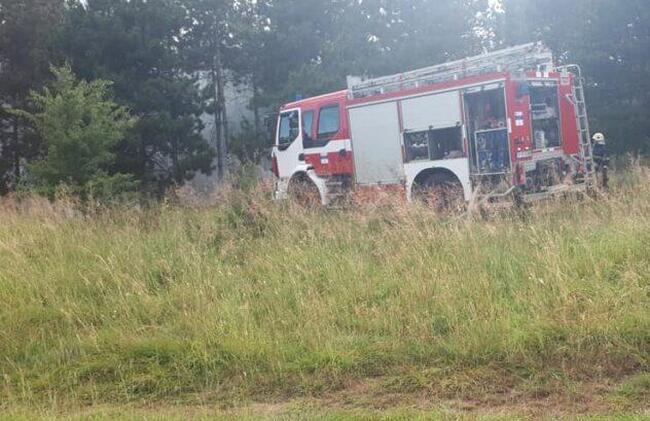 Областна администрация Разград: Мерки срещу горски пожари при предстоящите горещини