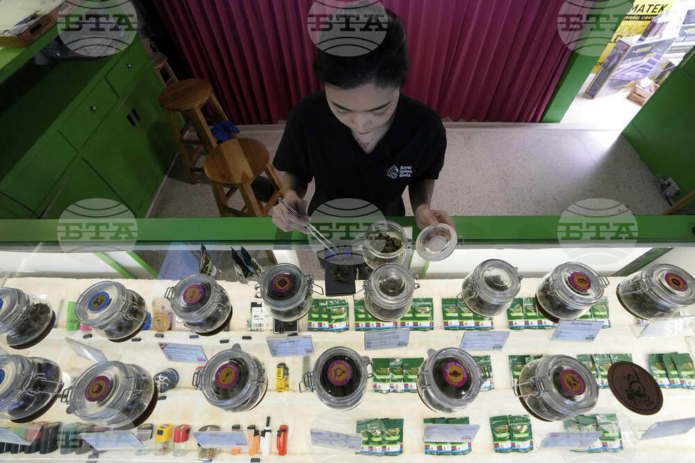 Thailand Cannabis