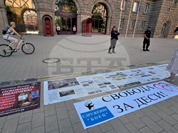 Протест - БОЕЦ - Десислава Иванчева