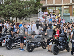 Видин - протест срещу агресията и насилието