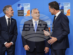 Netherlands NATO Summit