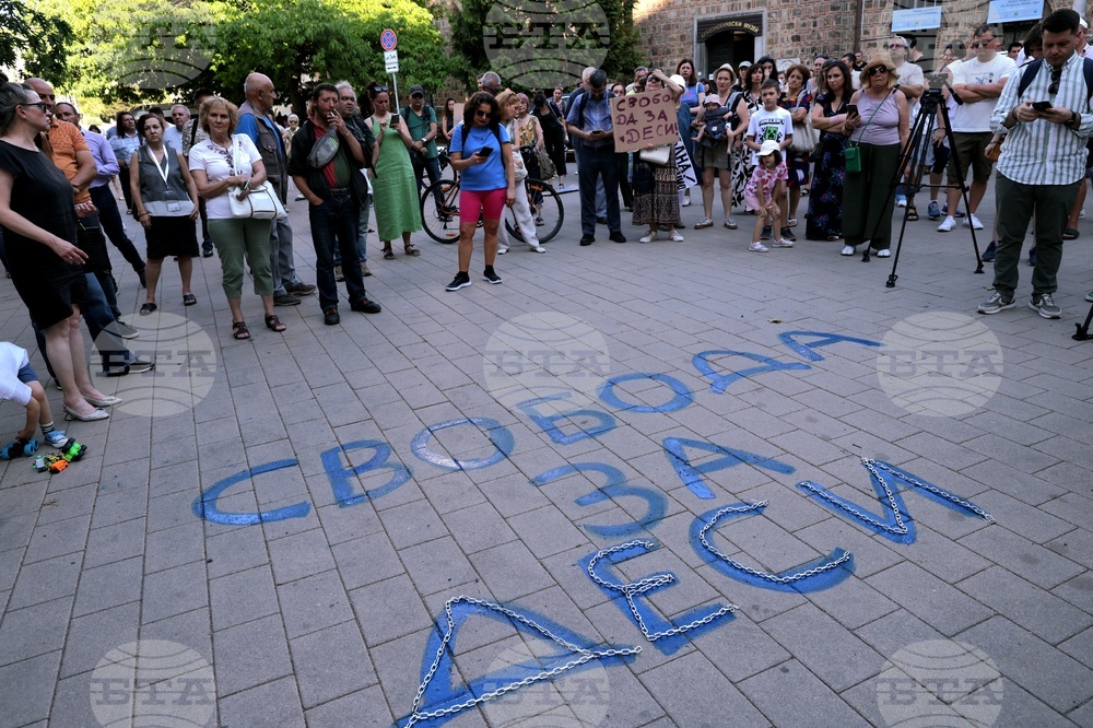 Граждани протестираха пред Президентството с искане за помилване на Десислава Иванчева 