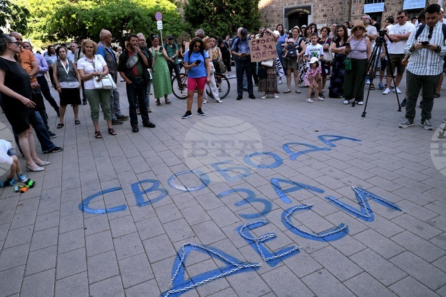 Граждани протестираха пред Президентството с искане за помилване на Десислава Иванчева 