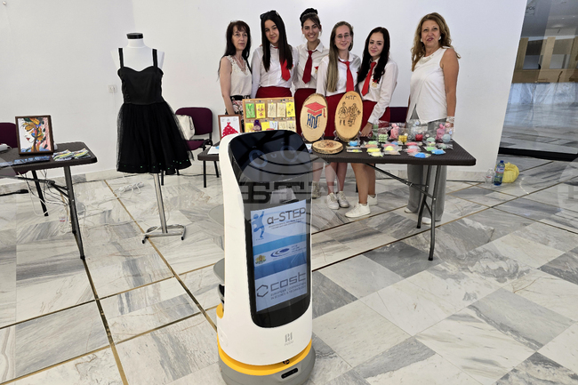 Гоце Делчев - роботи - представяне