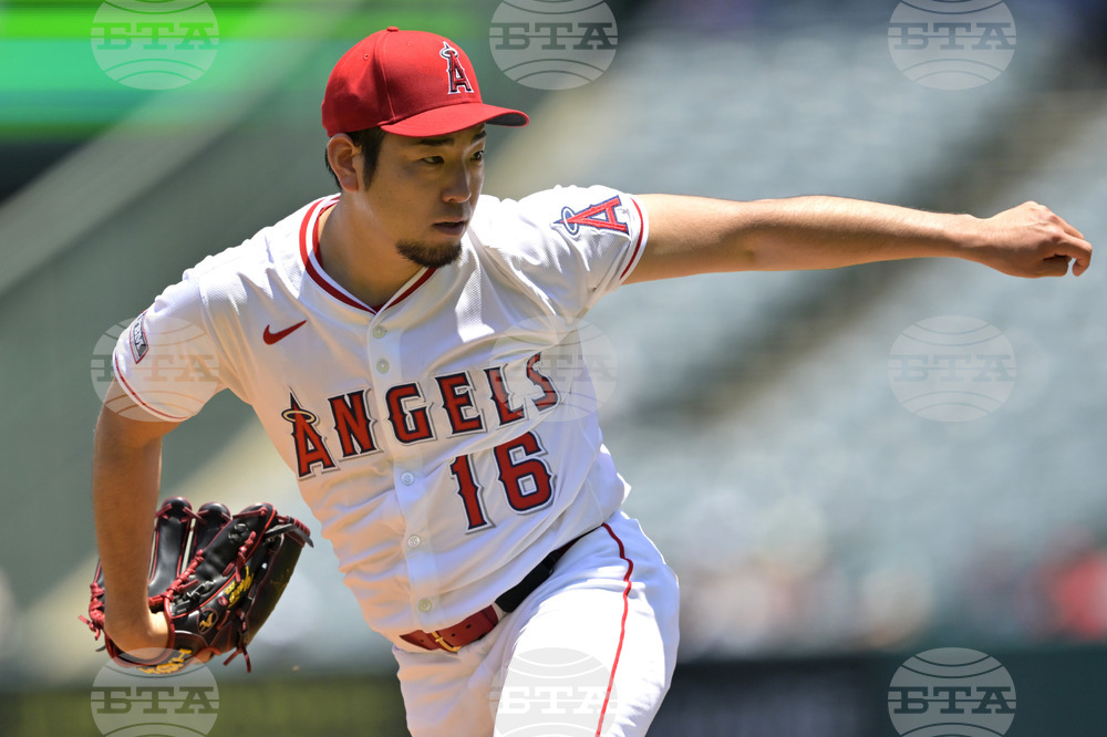 Red Sox Angels Baseball