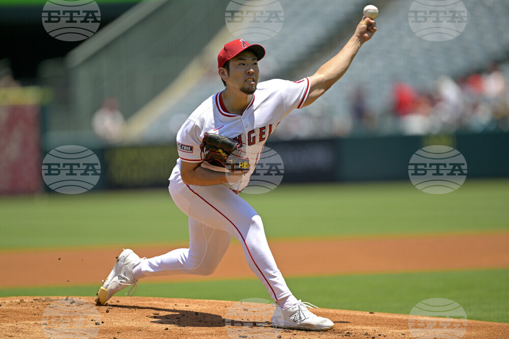 Red Sox Angels Baseball