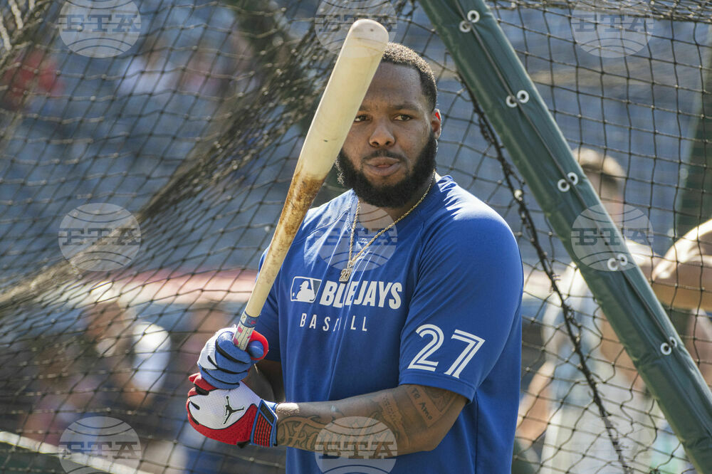 Blue Jays Guardians Baseball