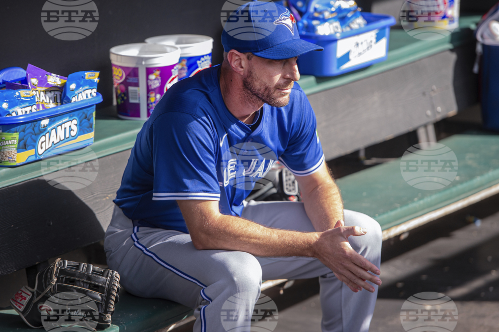 Blue Jays Guardians Baseball