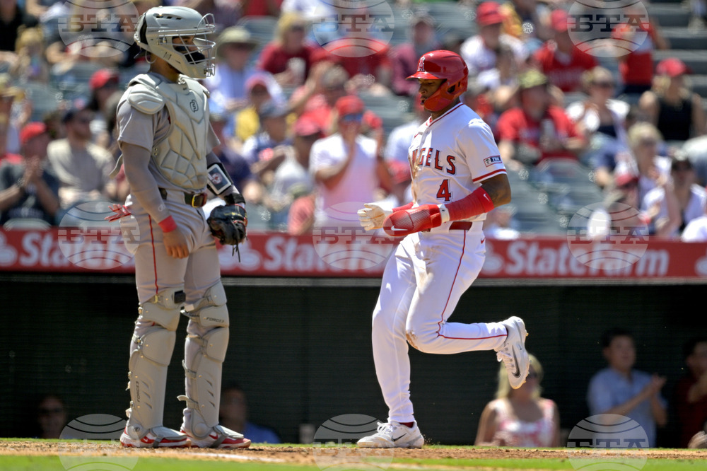 Red Sox Angels Baseball