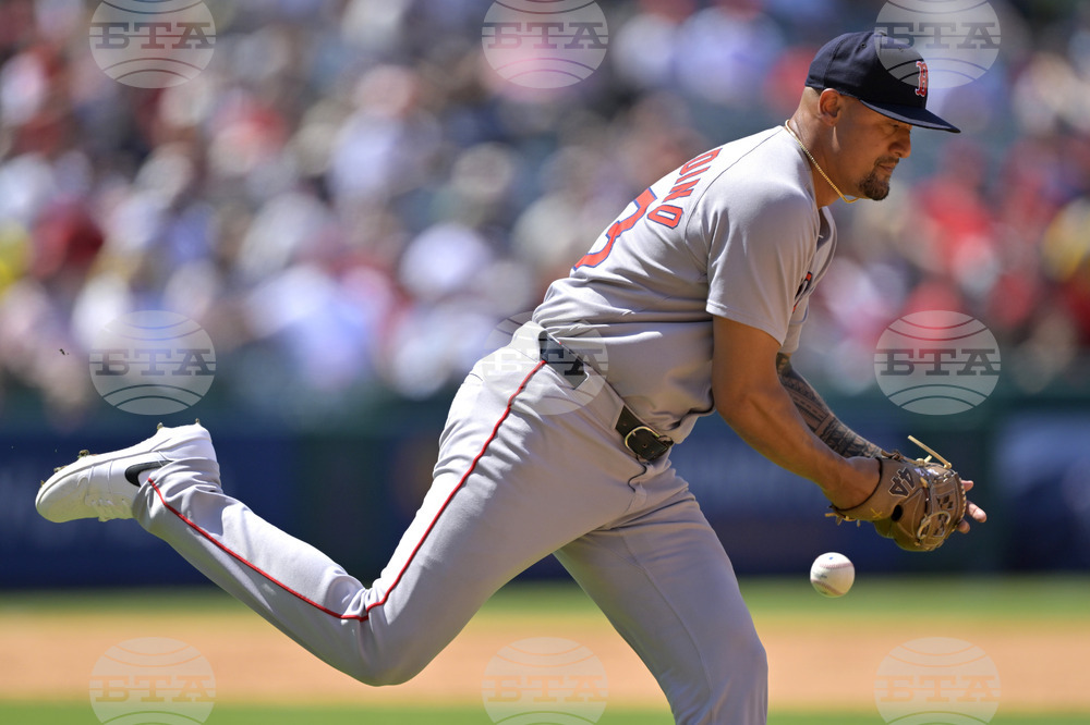 Red Sox Angels Baseball