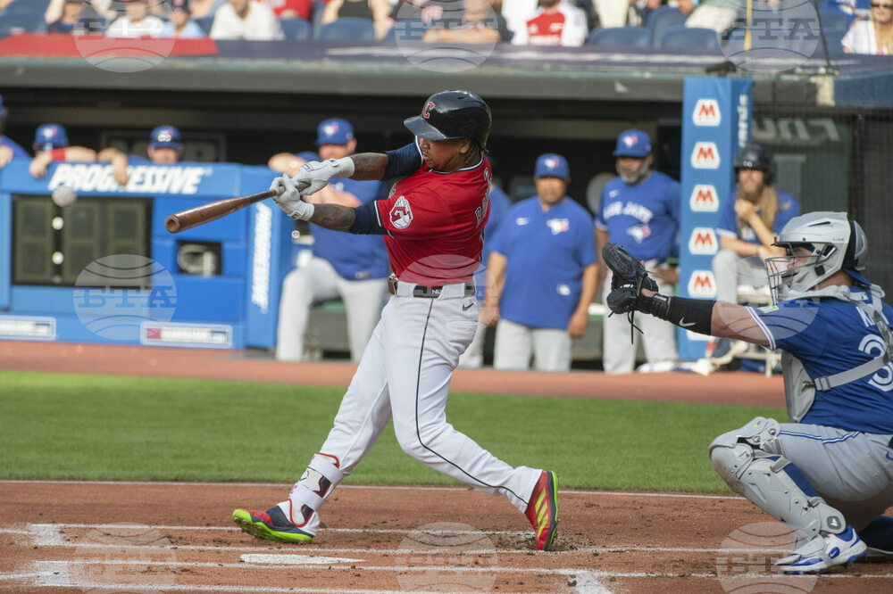 Blue Jays Guardians Baseball
