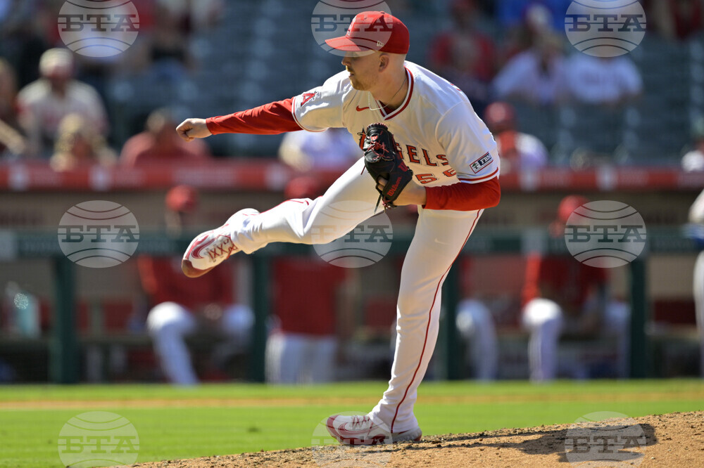 Red Sox Angels Baseball