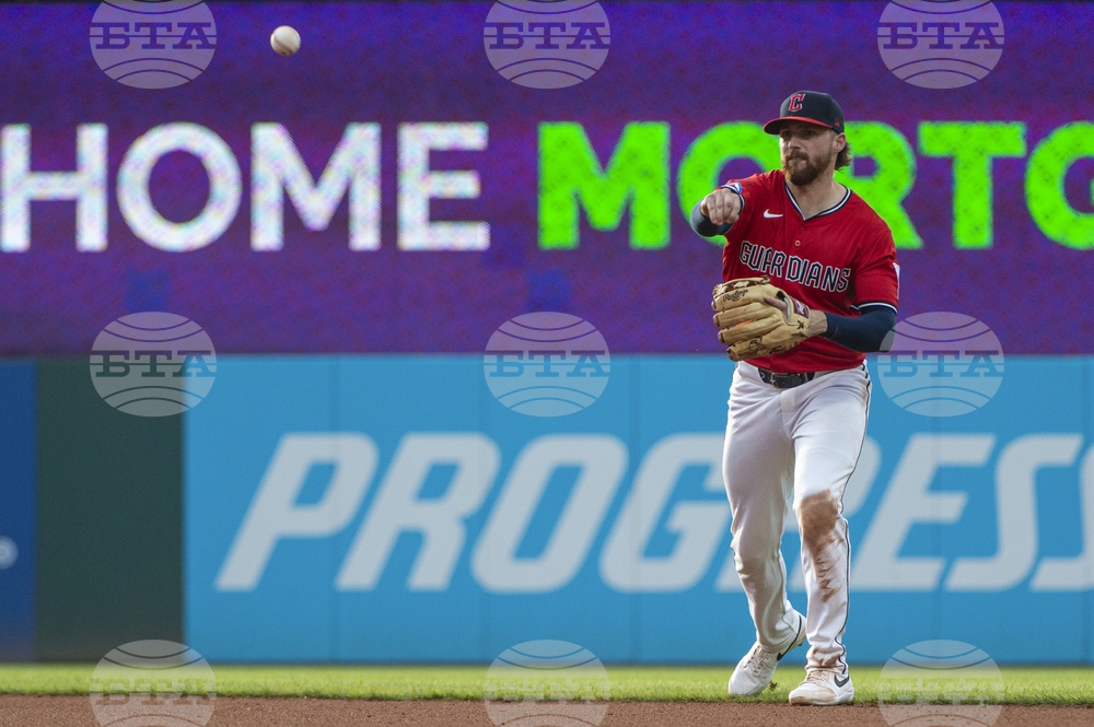 Blue Jays Guardians Baseball