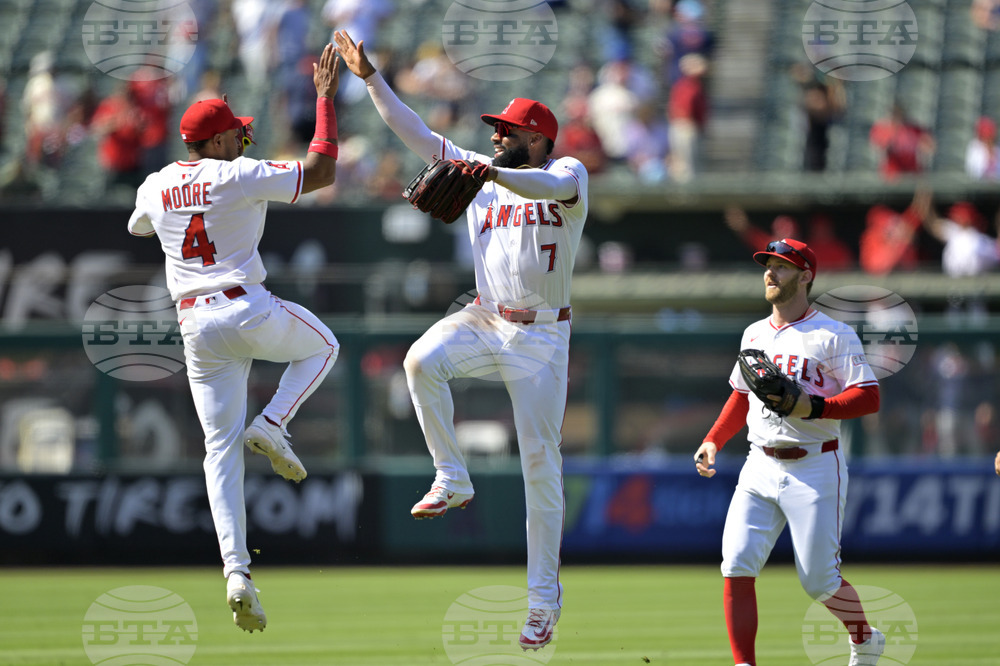 Red Sox Angels Baseball