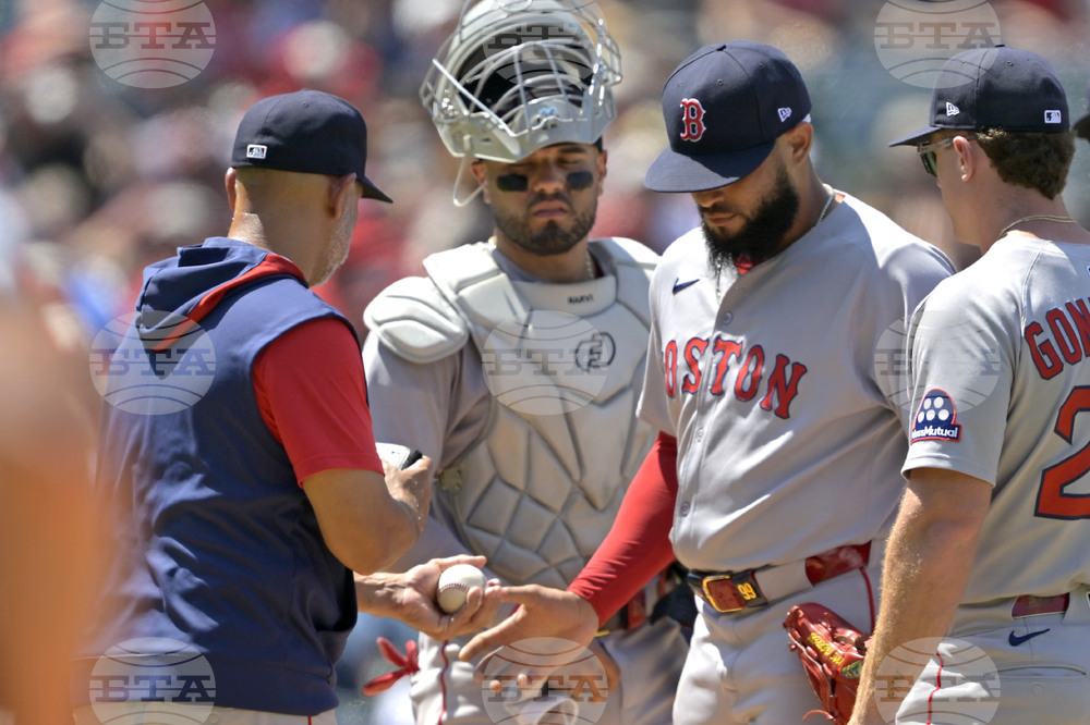 Red Sox Angels Baseball