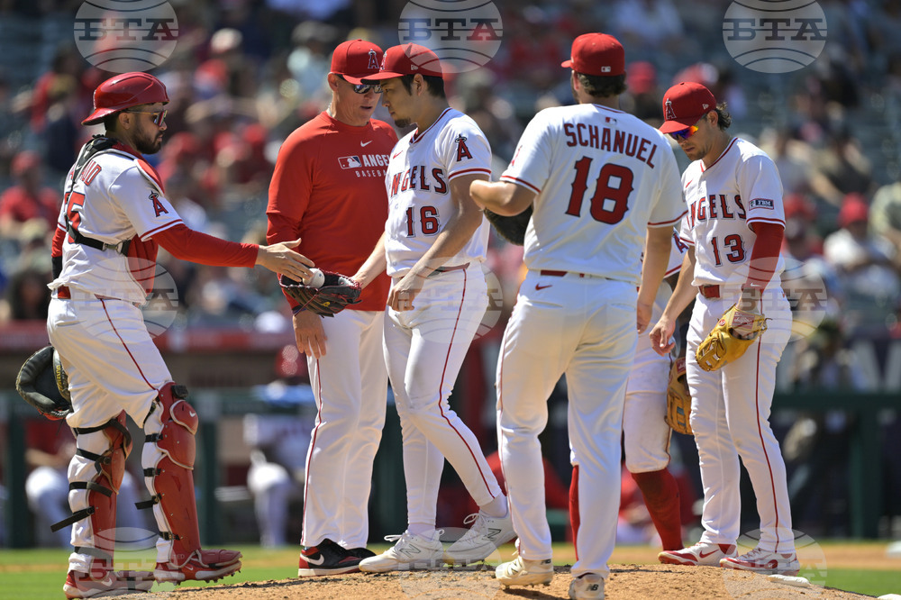 Red Sox Angels Baseball