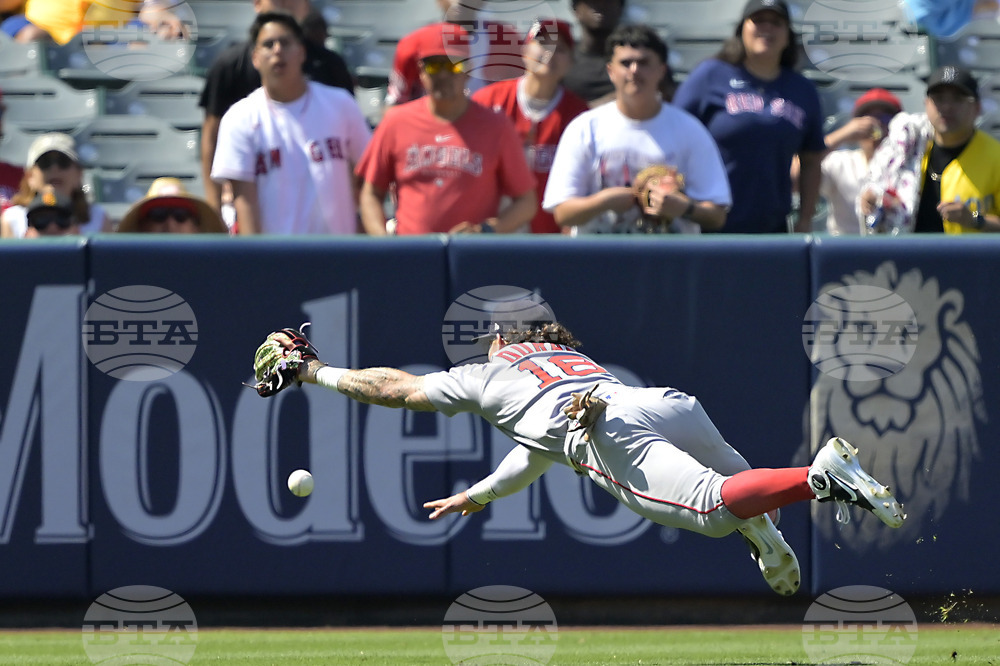 Red Sox Angels Baseball