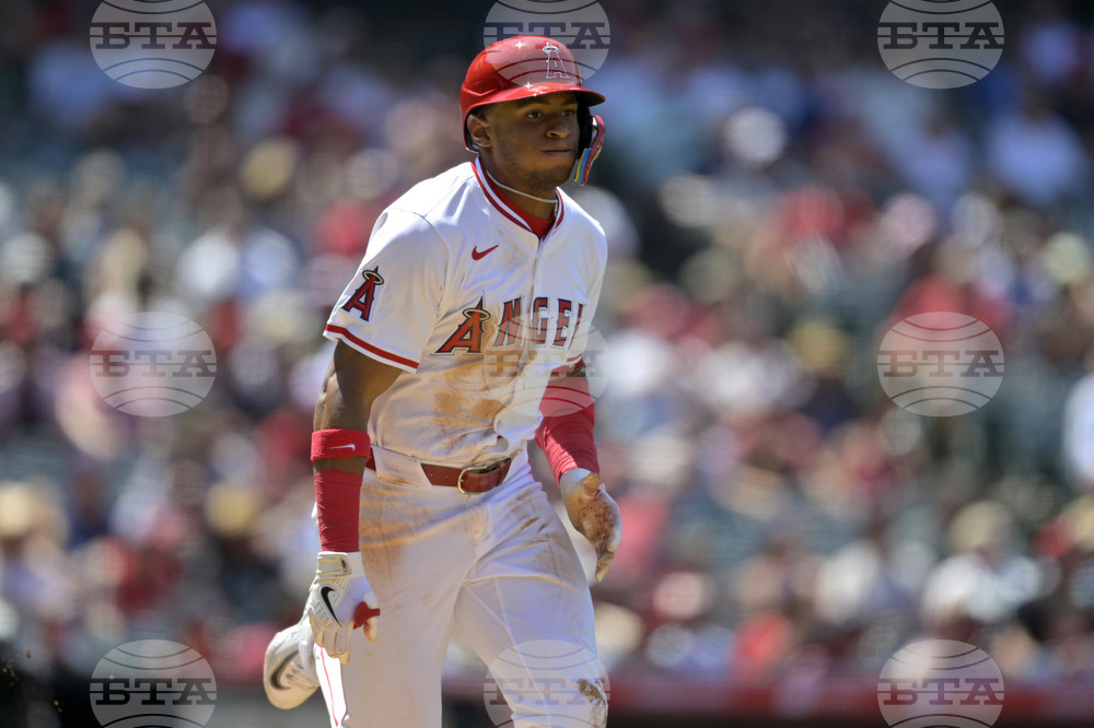Red Sox Angels Baseball