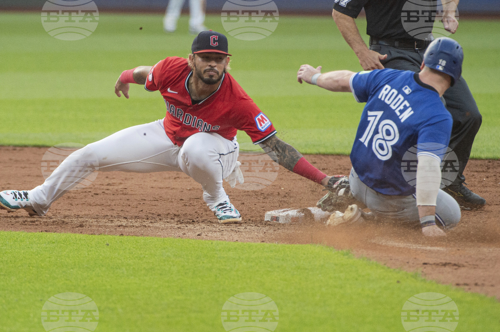 Blue Jays Guardians Baseball