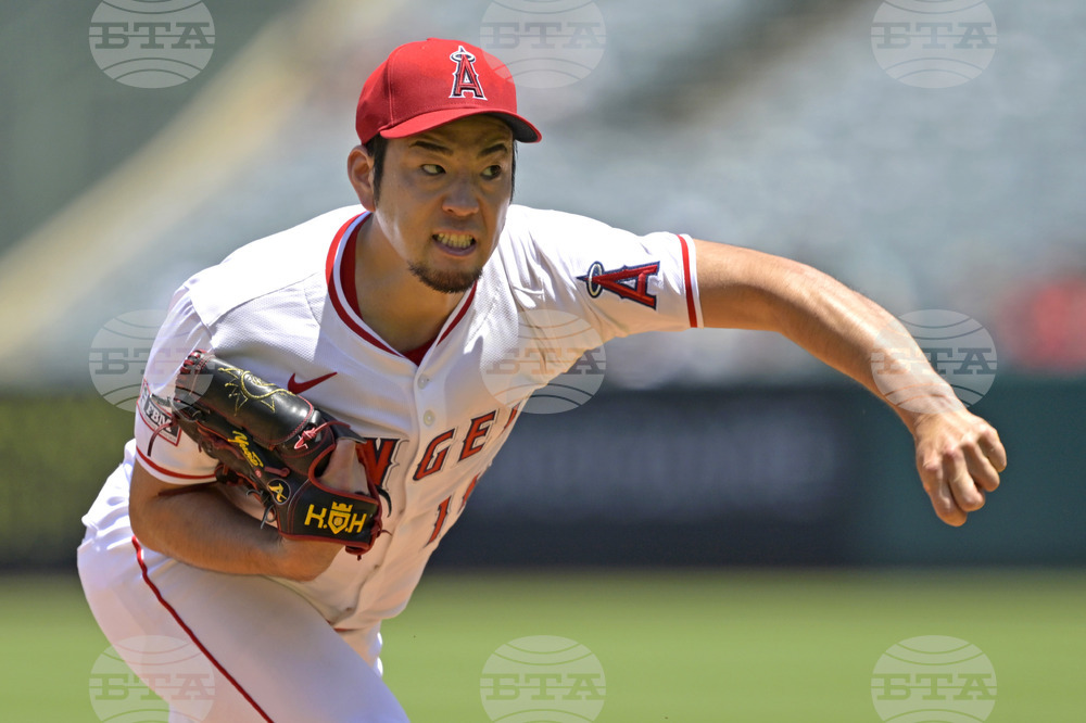 Red Sox Angels Baseball