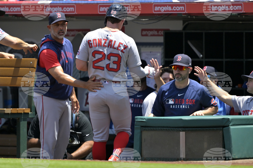 Red Sox Angels Baseball