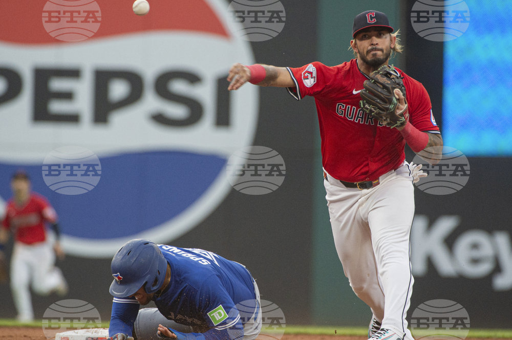 Blue Jays Guardians Baseball