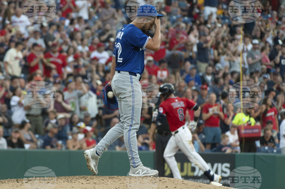 Blue Jays Guardians Baseball