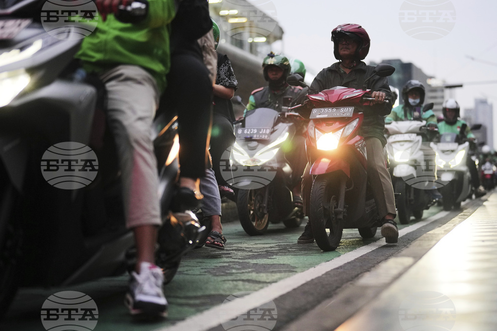 Indonesia Nail Sweepers
