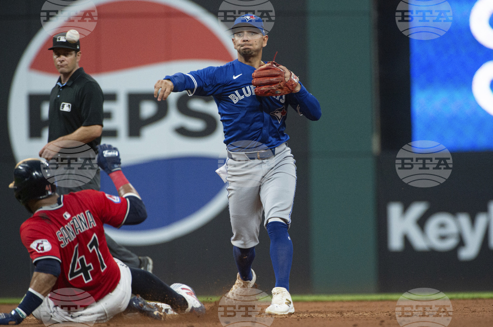 Blue Jays Guardians Baseball