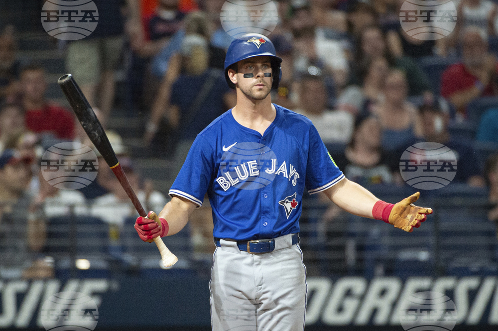 Blue Jays Guardians Baseball