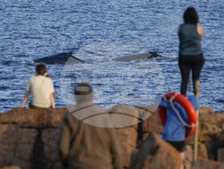 Australia Humpback Highway
