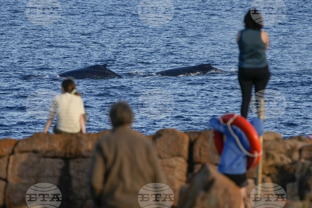 Australia Humpback Highway
