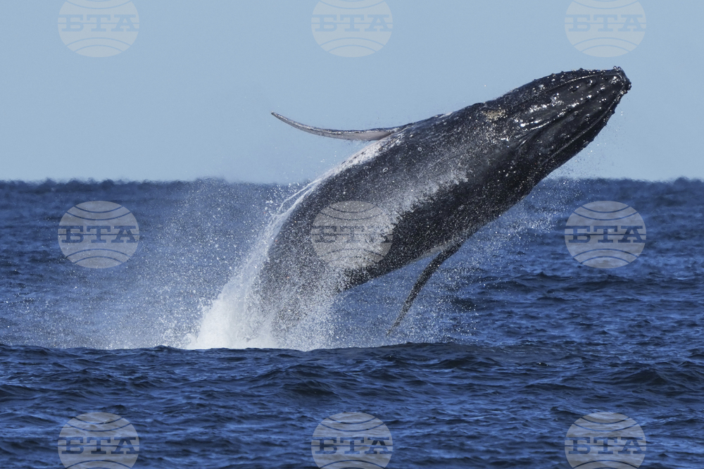 Australia Humpback Highway