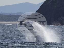 Australia Humpback Highway
