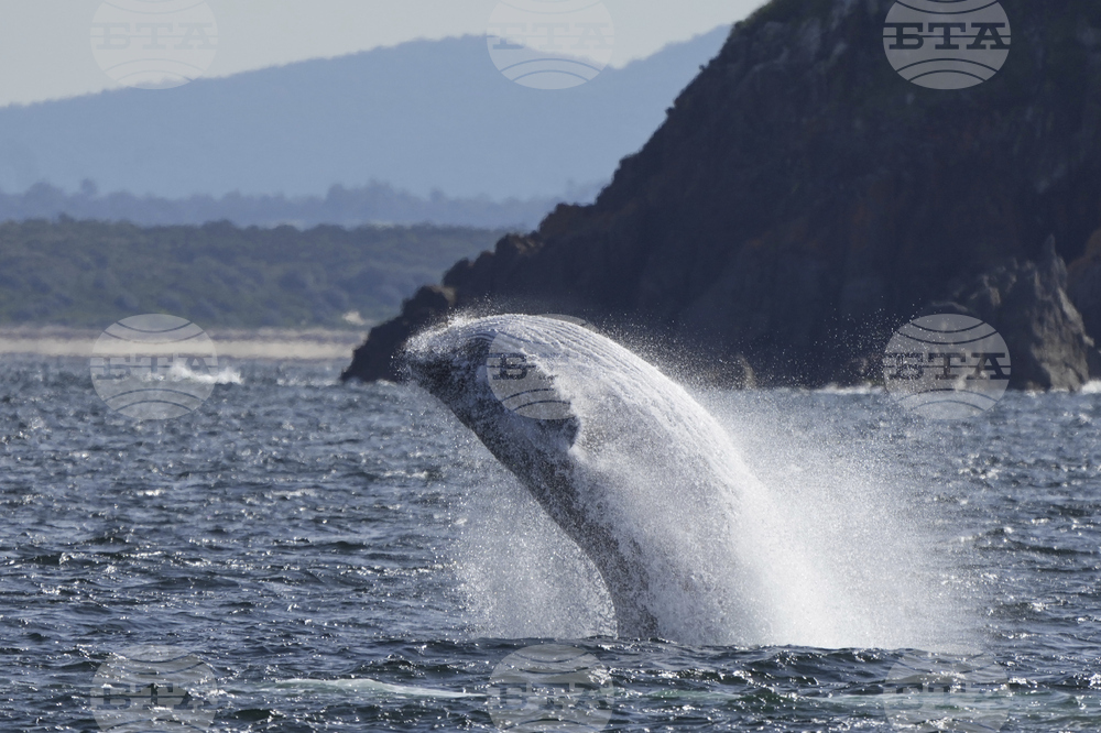 Australia Humpback Highway