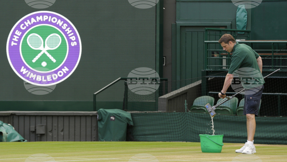 Wimbledon Tennis
