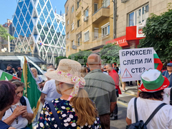Гражданска инициатива „Будители“ - протест - запазване на българския лев