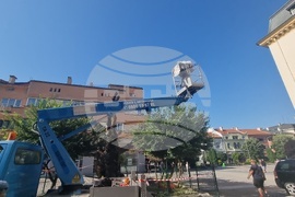 Сливен - Стария бряст - резитба