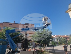 Сливен - Стария бряст - резитба