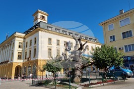 Сливен - Стария бряст - резитба